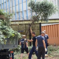 2022.06.07. romeltakarítás - viharkárok