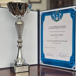 Kiváló sportvezető díj
