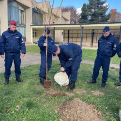 2024.11.14 faültetés