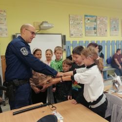 2025.09.26. Sorkifalud