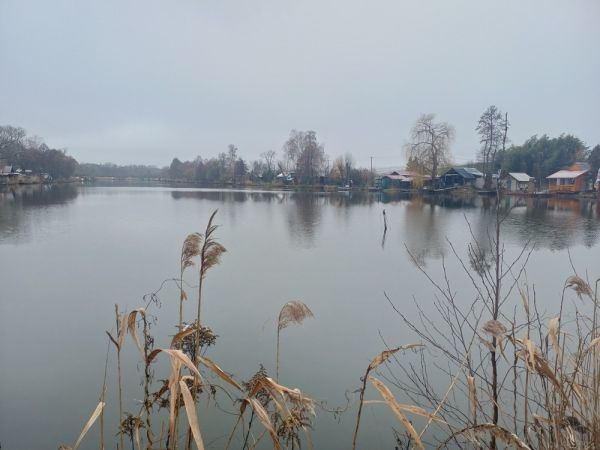 260217 erfesz kaposvar 7